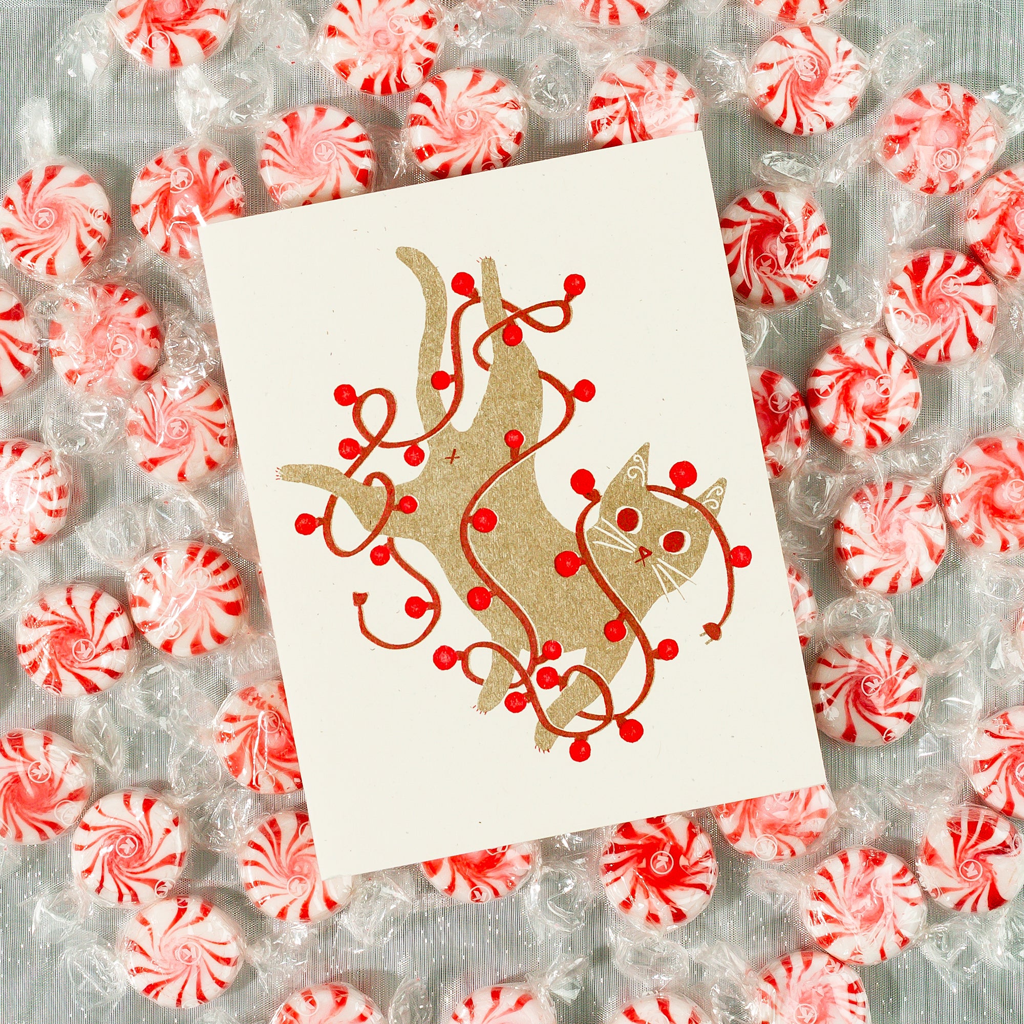 Tangled Holiday Cat - Risograph Card