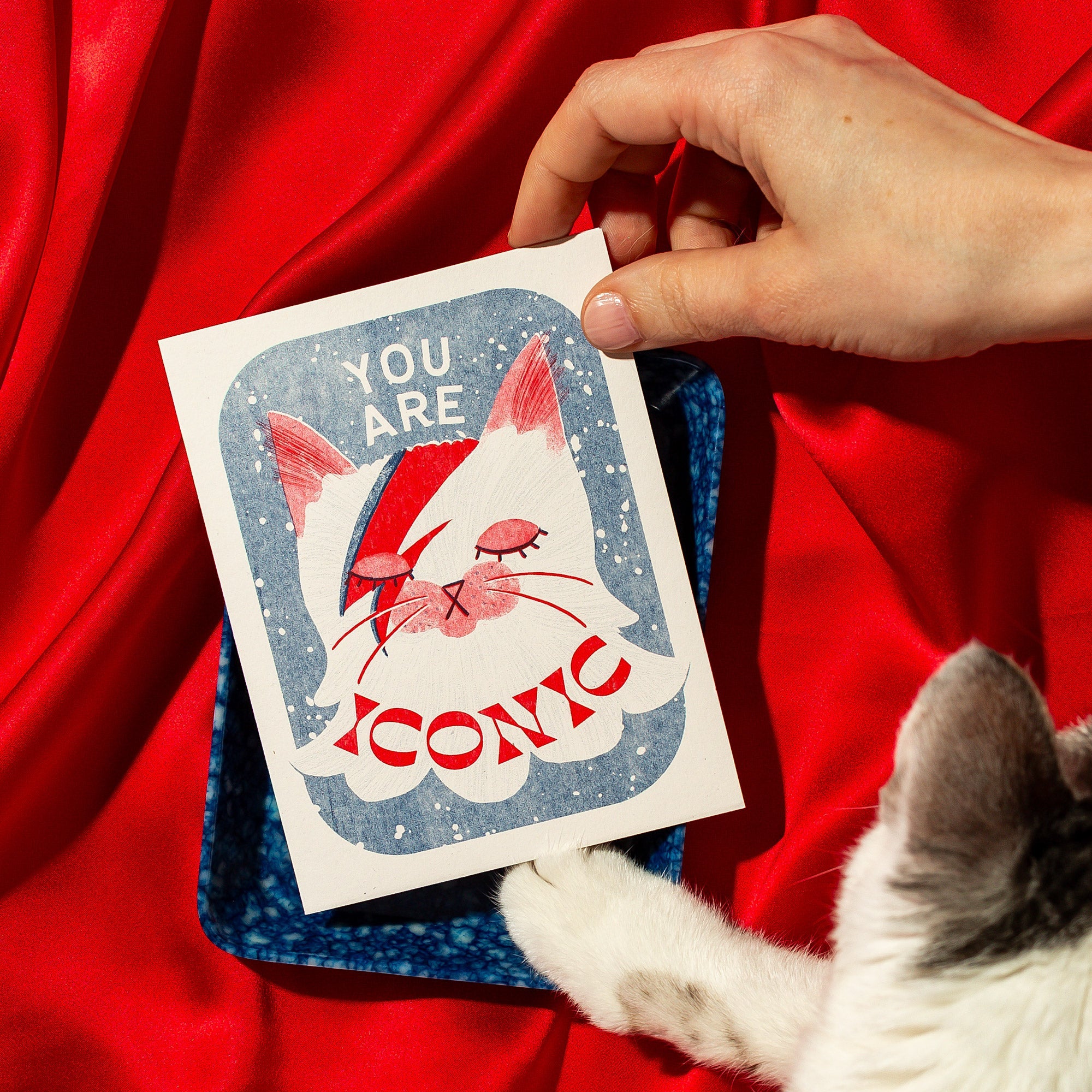 David Bowie Cat - Sparkle Sticker – Bromstad Printing Co.