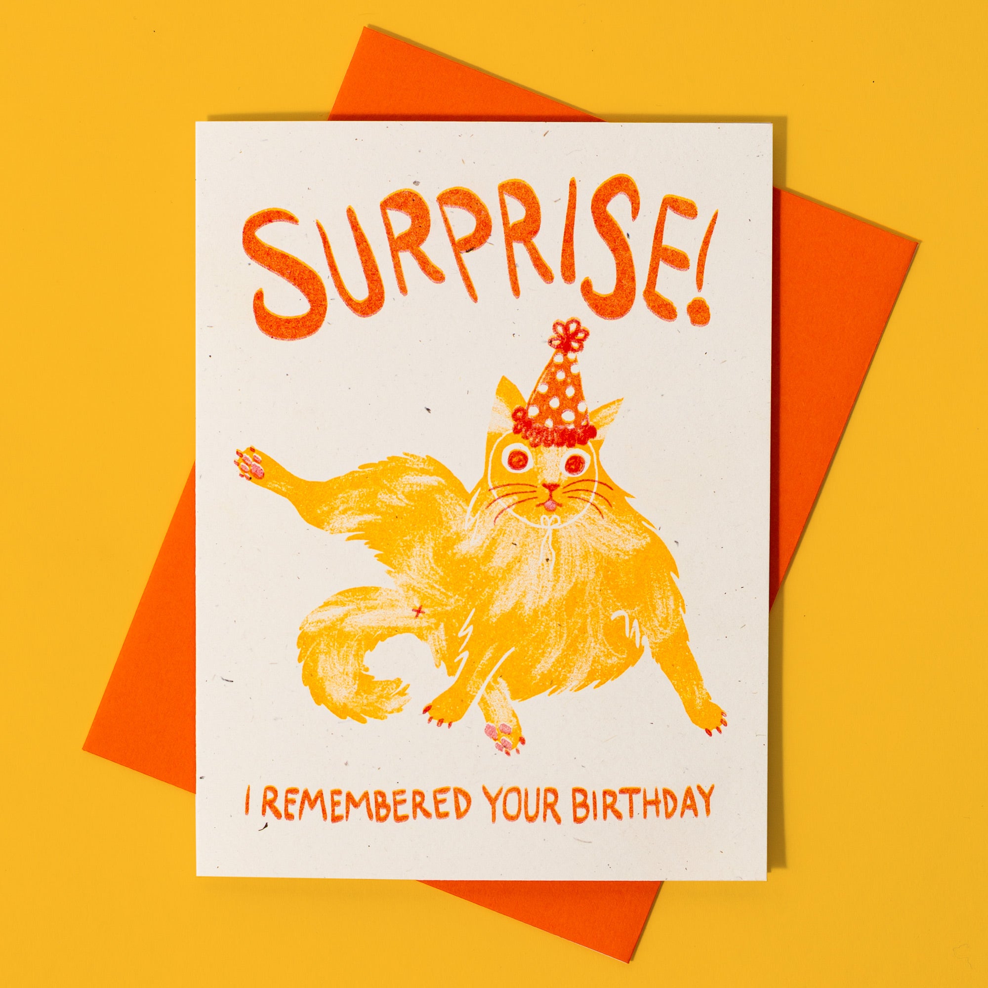 Surprise! I Remembered Your Birthday Cat - Risograph Card