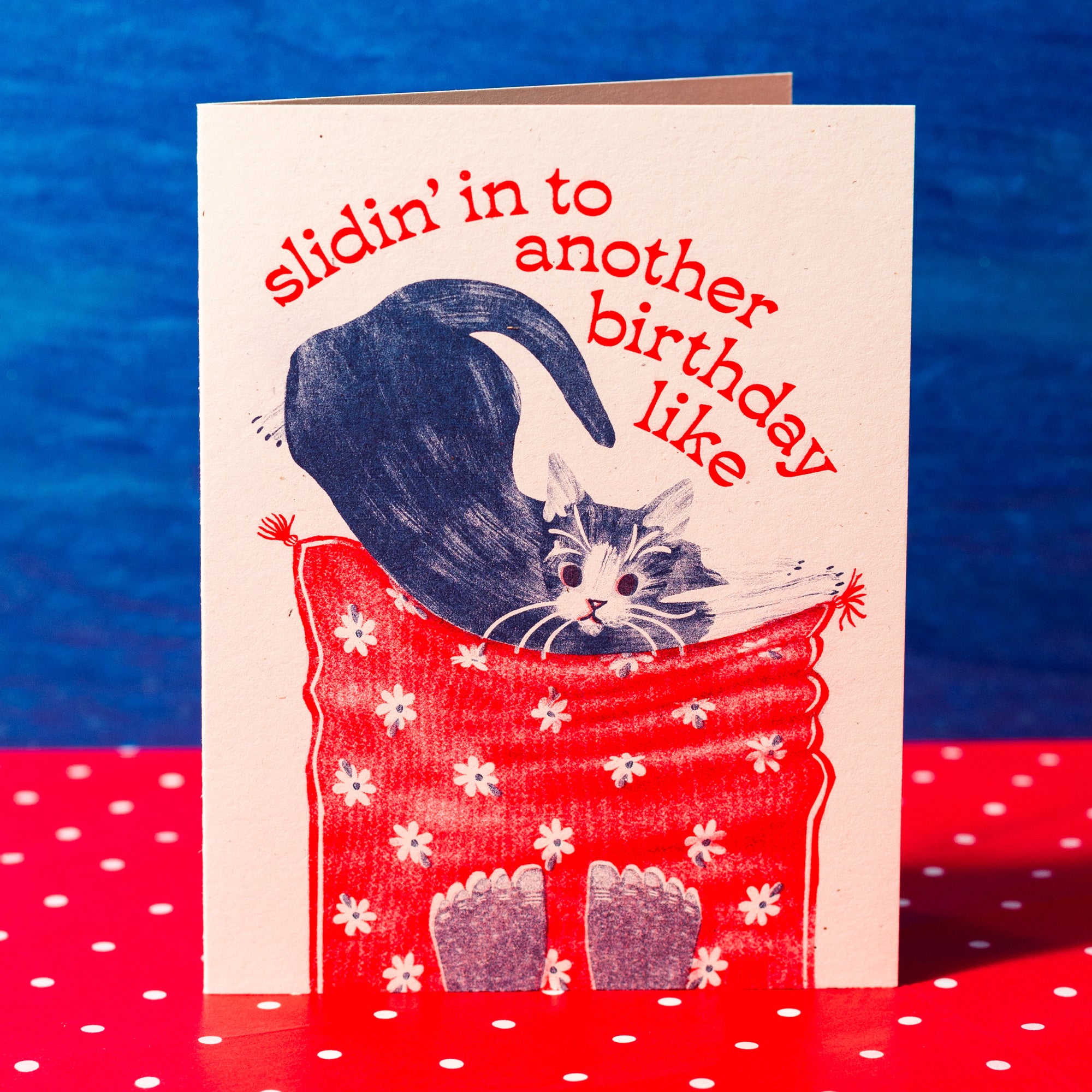 Slidin' In To Another Birthday Cat - Risograph Card