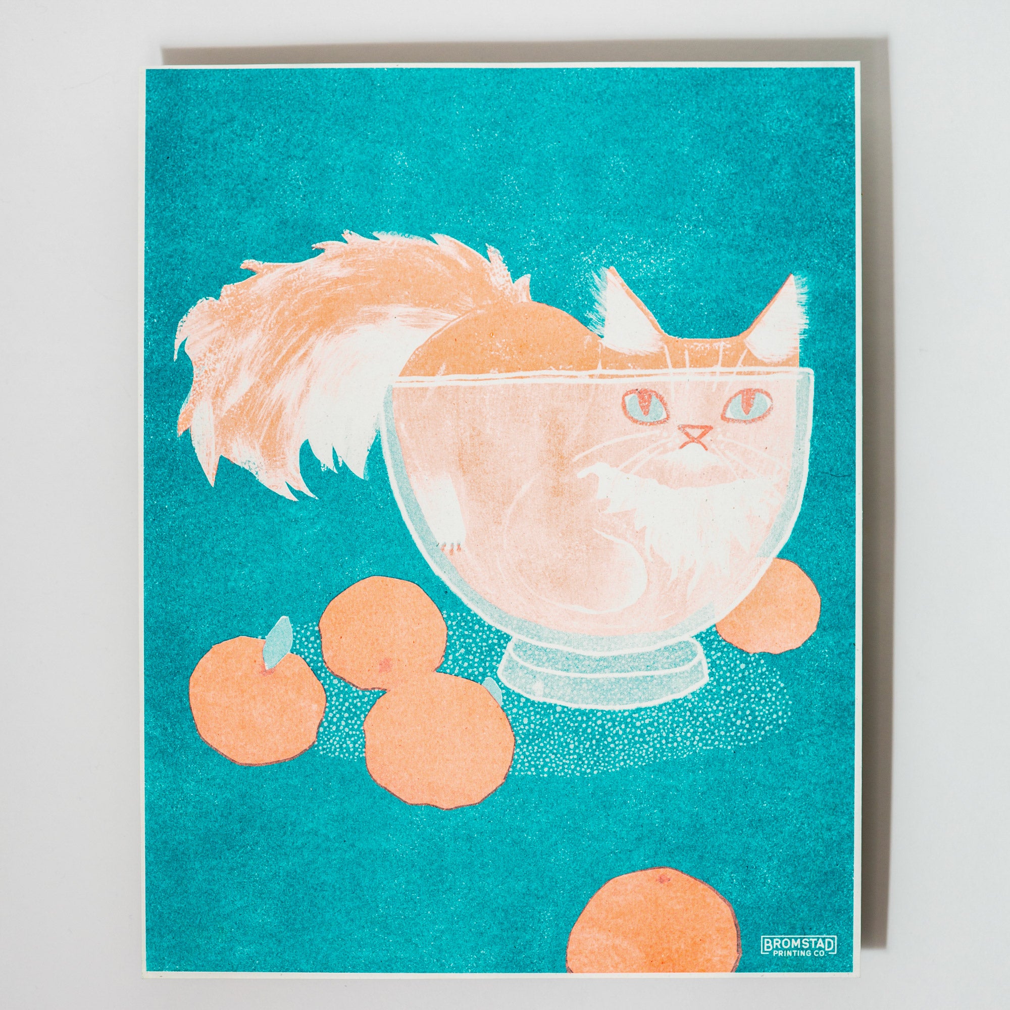 Orange Cat in a Bowl - Risograph Print