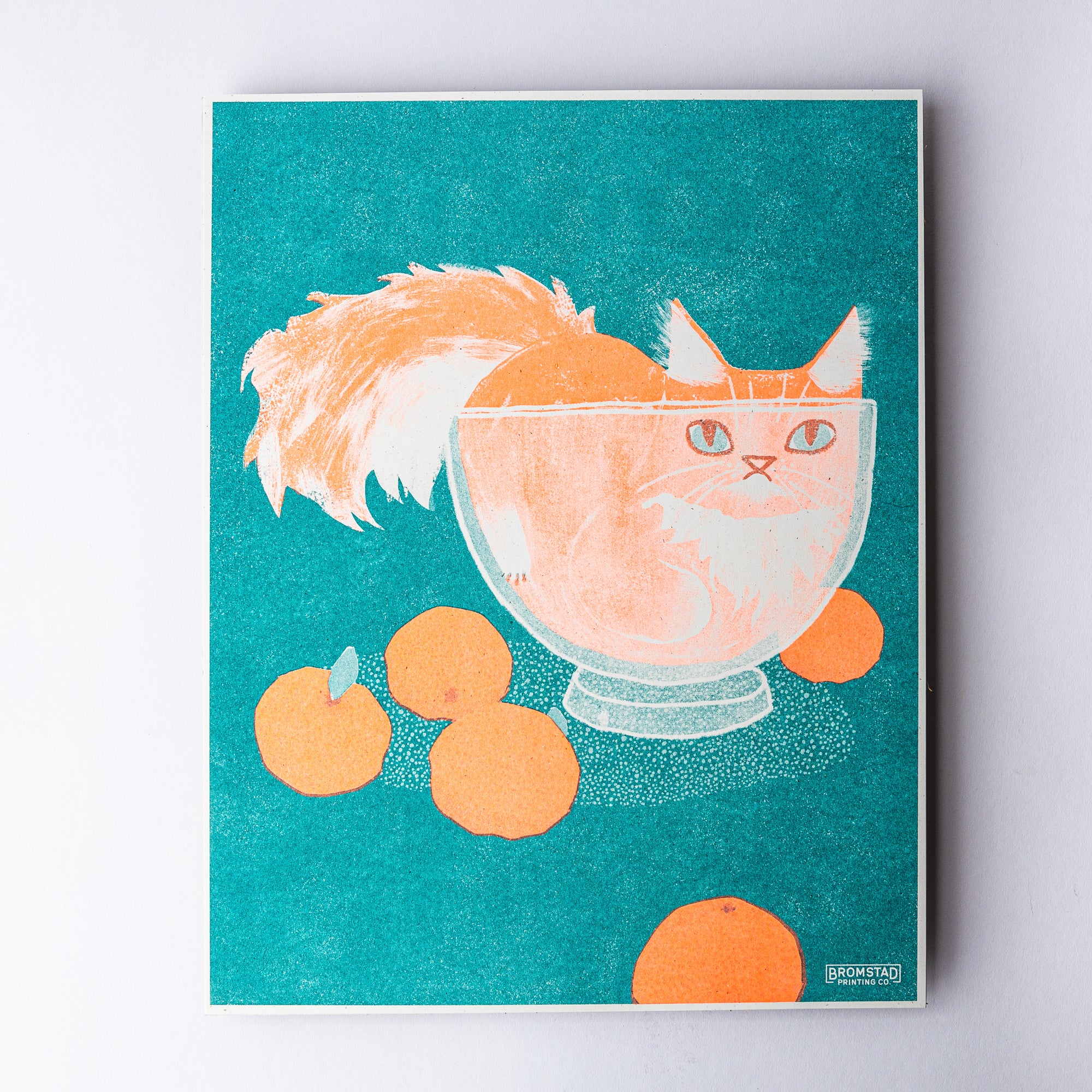 Orange Cat in a Bowl - Risograph Print