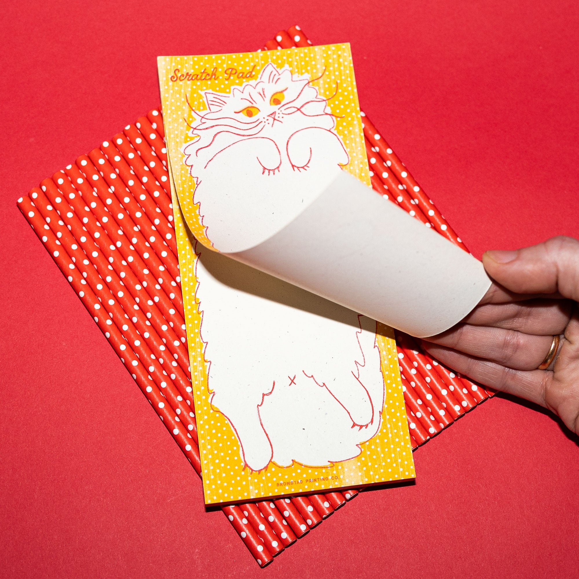 Scratch Pad Cat - Risograph Notepad