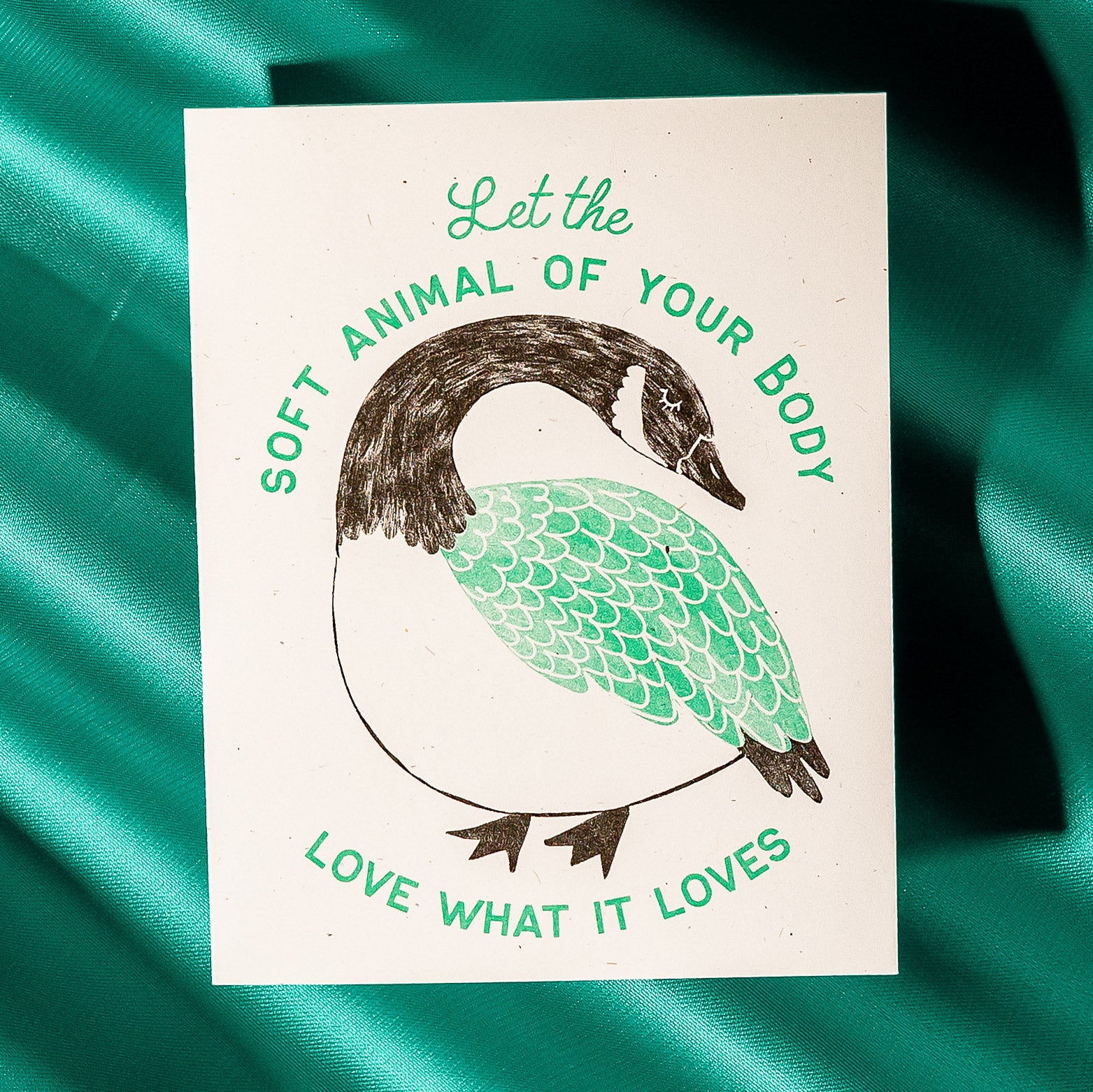 Soft Animal - Risograph Card